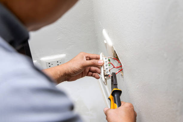 Best Electric Panel Repair  in Hebron, MD